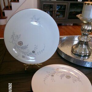 2 DINNER PLATES Tirschenreuth Bavaria Enchanting 2603 Platinum Trim Germany